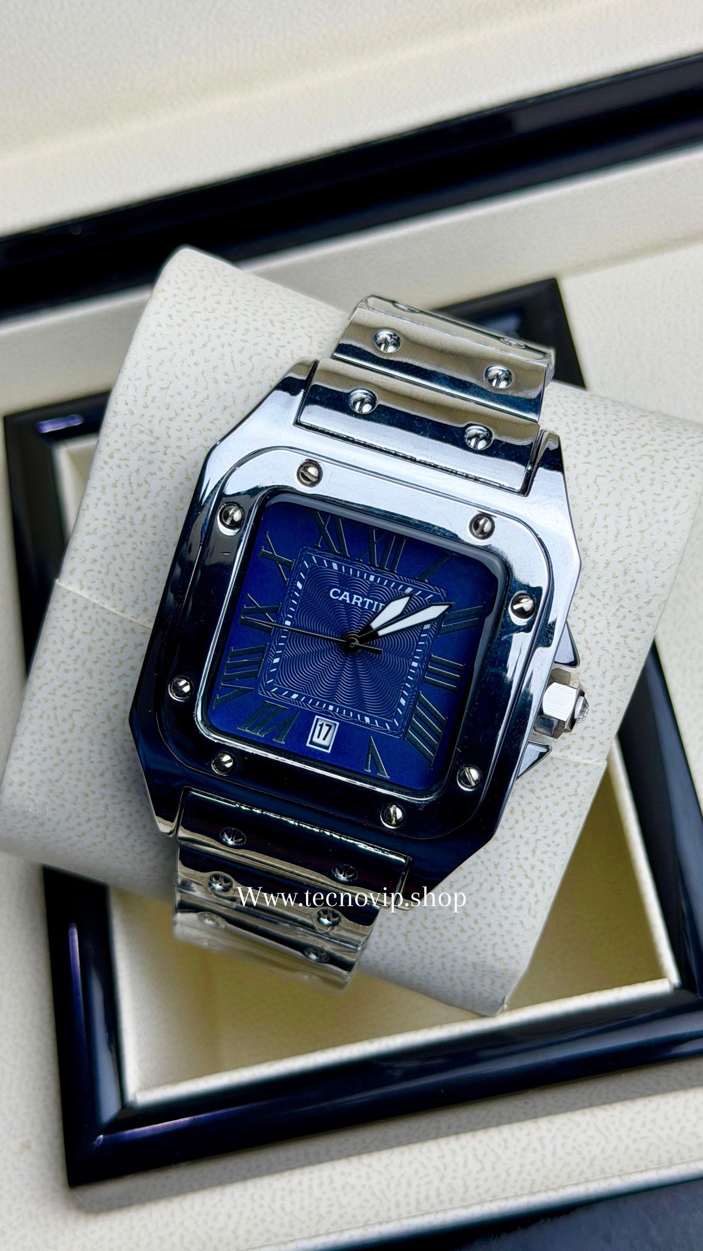 CARTIER SANTOS SILVER AND BLUE