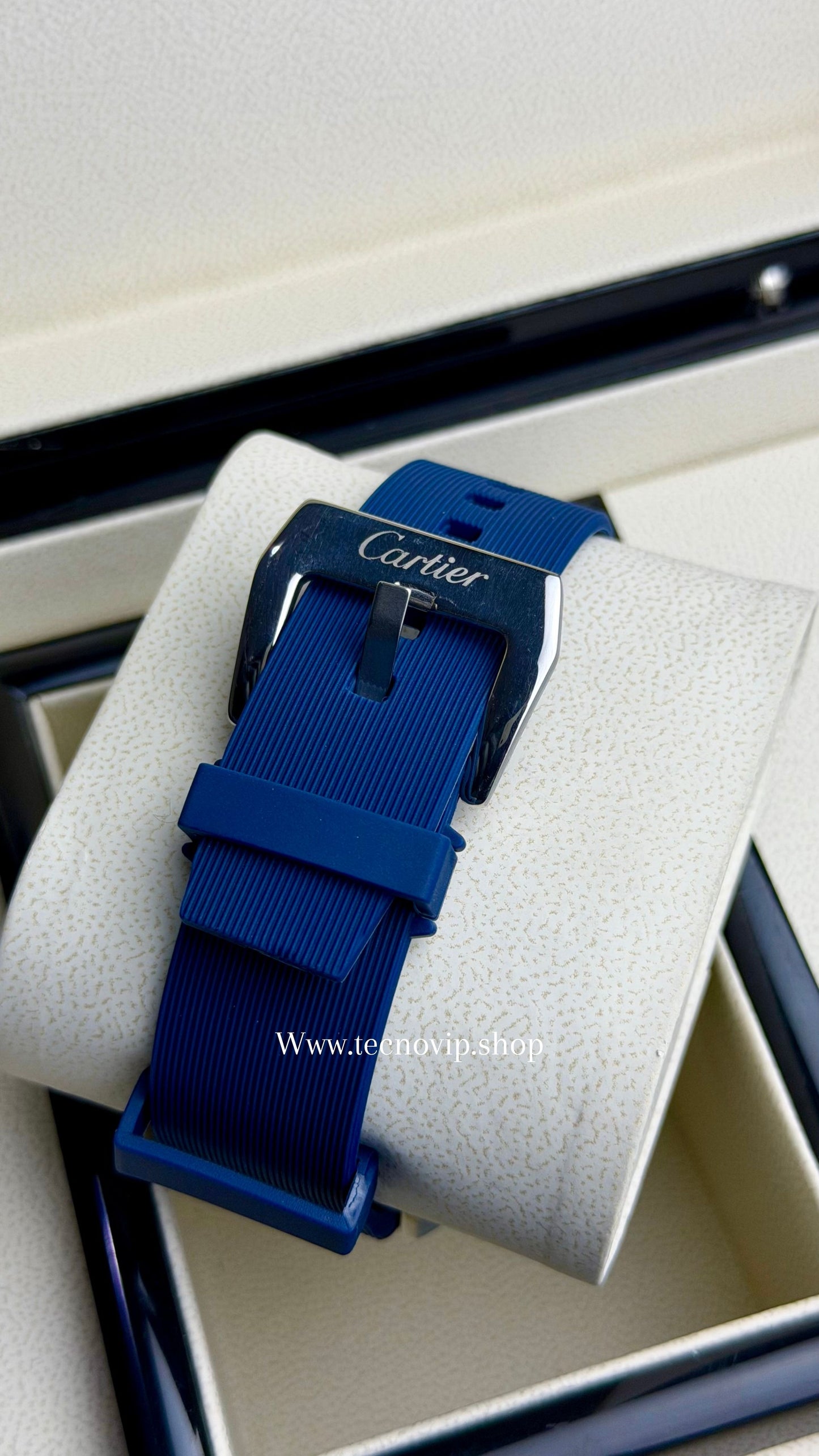 CARTIER SANTOS 100 WHITE BLUE