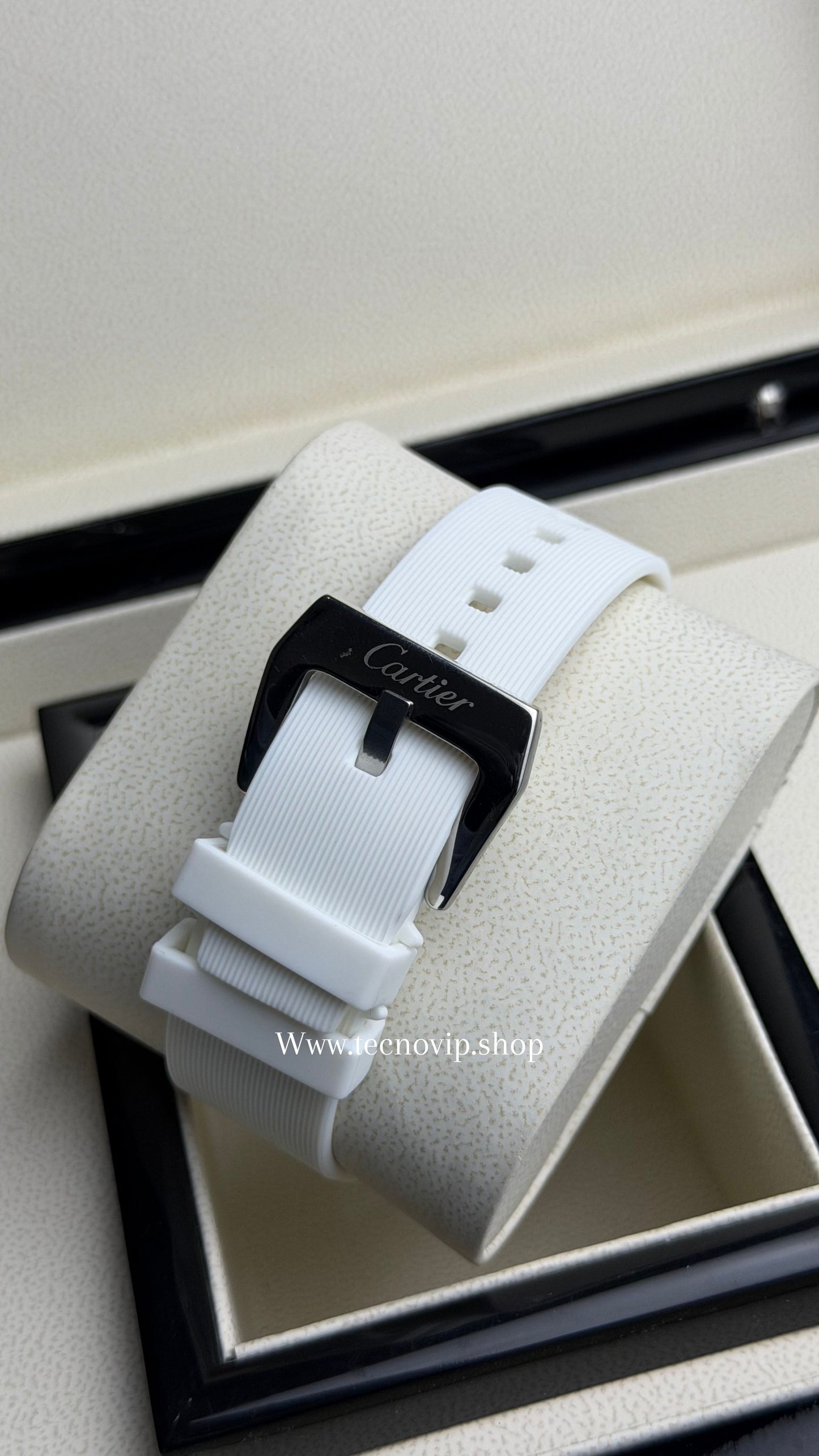 CARTIER SANTOS 100 WHITE